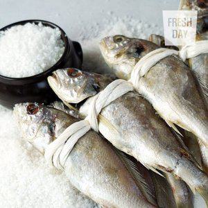 [프레시데이] 국내산 백조기 영광 법성포 백굴비 20미