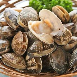 삼천포 바지락 1kg (60미 내외)