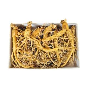 풍기인삼 자가경작 6년근 난발삼 종이각 포장 750g(18-24뿌리)