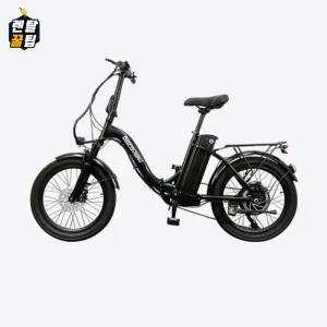 레이윙 디스커버리 엔트리 F20 E10 접이식 전기자전거 F20e10