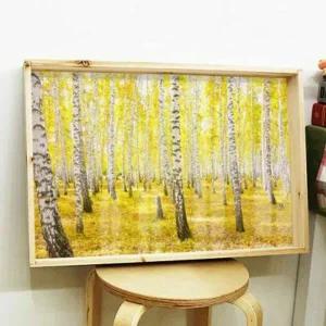 꾸밈 gb112-우드프레임액자 노란황금빛자작나무(대형)
