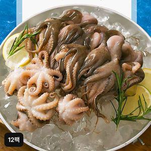 [NS홈쇼핑]자연산 손질 쭈꾸미 12팩 (120~144미)[35025574]