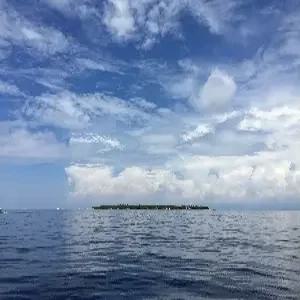 보홀 자유여행 5일 #알로나바이제이파크 #디럭스룸 #미팅서비스[공항 리조트 픽업]