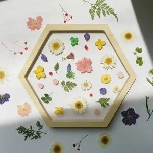 자작나무 육각 자석투명액자 2가지 사이즈