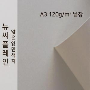 종이문화 뉴씨플레인 얇은 양면 색상지 120g A3 No.54 백옥색 낱장 1매 색도화지 A4용지 A3사이즈 색지