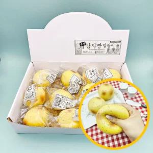 2000 춘천 감자빵 말랑이 12개입 1박스 - 말랑쫀득 핸드토이 스트레스해소 주물럭 무인점 마켓데이