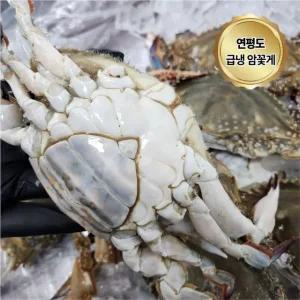 연평도 급냉 암꽃게 국내산 냉동꽃게 3kg (9-15미)