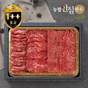 갤러리아 [농협안심한우] 1++등급 채반 프리미엄세트/갈비살200g+부채살200g+