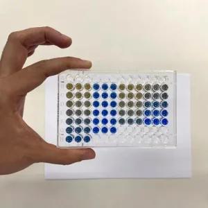 브래드포드 단백질 정량법 - Bradford Assay Kit