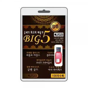 (USB) BIG5 (금세기 예술가) 효도라디오 usb음악 usb뮤직플레이어 뮤직플레이