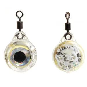 두족류 조과 낚시집어등 감성소품 갑오징어낚시 갑오징어집어등