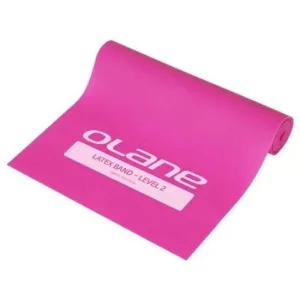 헬스용품 홈트레이닝 라텍스밴드 2단계 핑크 홈트레이닝 운동 헬스용품 라텍스밴드 고무밴드