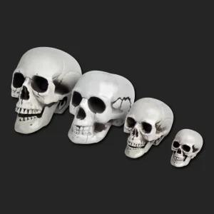 해골 모형 두개골 머리 두개골 인체뼈 사람 뼈 모형 뇌 골격 해부학 교육용 미술용 교구