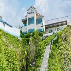 [강원] 고성 갈매기나는꿈펜션(강원펜션/고성펜션)