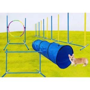 강아지 터널 야외 어질리티 도구 운동 훈련 놀이터