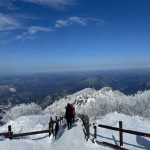 [당일/관광열차] 미리보는 겨울! 무주 덕유산 눈꽃 기차여행