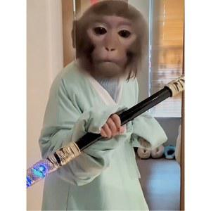 여의봉 성인 서유기 무기 사운드 Sti 공연 레드 실버 여의봉 피규어