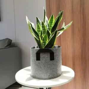 소형 부직포 데일리 원예용화분 가벼운화분 저렴한화분 미니텃밭