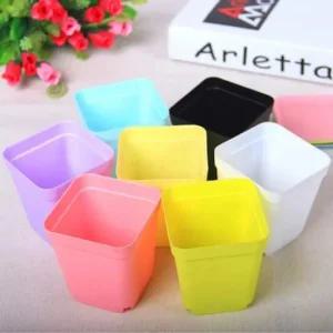 미니 컬러 데일리 화분 소형화분 다육이화분 칼라화분 플라스틱화분