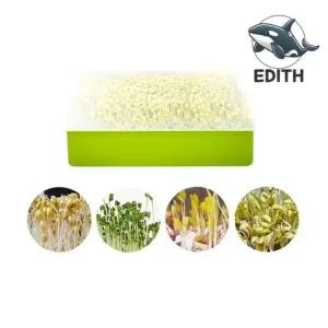 야채 재배기 콩나물 새싹 수경재배 용기 새싹재배기 수경재배기 채소재배기 새싹씨앗