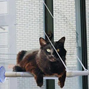 [콩심팥심]해먹 고양이 강아지 부착식 바구니 캣타워