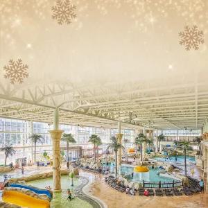 [경주] 강동워터파크 동계시즌 이용권(12/25~)/워터파크/경북/경주가볼만한곳/수영장/물놀이/데이트/아이와함께/물놀이/여름