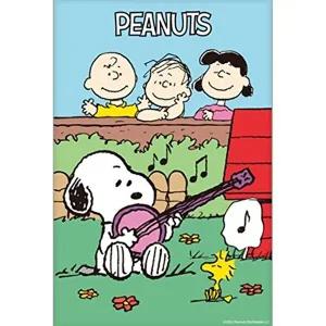 [셀러허브 패션][JHQRV5PL_4B]DIY 취미 페인팅 피너츠 스누피 20X30