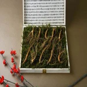 강원 진삼애 산양삼 7-8년근 10뿌리