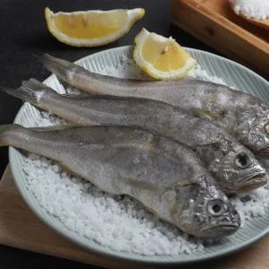 영광법성포 참굴비 20미 1.4kg