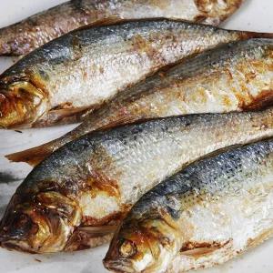 충남 서천 제철 전어 1kg 내외(10-15미) 구이용 