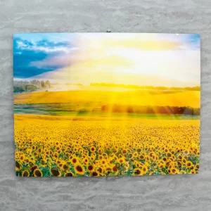 햇살 해바라기 풍수 인테리어 그림 포인트 풋사과 액자 집들이선물 개업선물 사진 액자 (대)