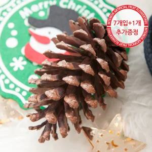 크리스마스 솔방울 트리 장식 뉴 네츄럴 11cm (7개입) 소품 용품 겨울 인테리어 촬영 데코 만들기 DIY