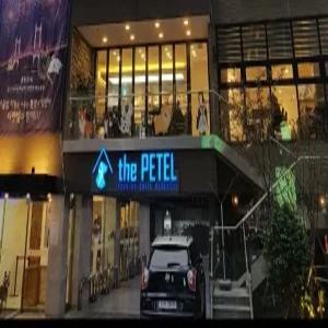 [부산 호텔] 더펫텔 프리미엄 스위트 (해운대,센텀시티,재송)