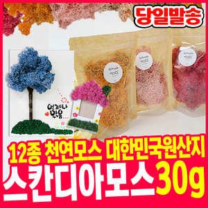토단 국내생산 스칸디아모스 30g (12가지색상) 친환경 모스 천연이끼 실내식물 공기정화식물 하비 모스