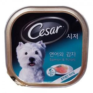 시저캔 100g (연어와 감자) x 24개.