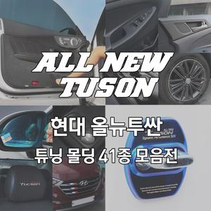 올뉴투싼 TL 도어커버 글로브 윈도우 데칼스티커 튜닝 키케이스 기스방지 가드 랩핑 인테리어 용품