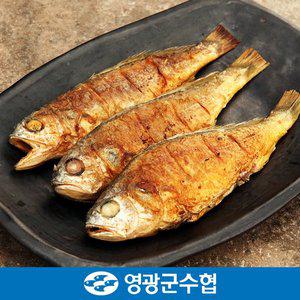 [영광군수협][냉동][영광군수협]법성포 영광 굴비 세트 1.3kg(지퍼백/20미)