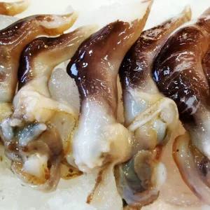 [미스터팜팜]당일조업 손질 새조개 내장제거 실중량 1kg(상품) 산지직송