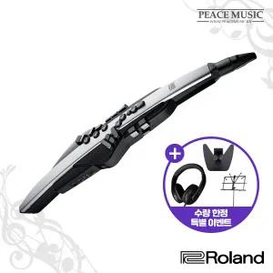 롤랜드 전자 색소폰 Aerophone Pro AE-30 에어로폰 프로 AE30 ROLAND