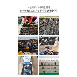 돌미역,단품,선물,자연산,건미역,영덕,무배,450g~550g