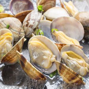 국내산 산지 해감 조개 왕 활바지락 참바지락 1kg 2kg