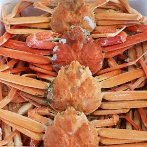 경북 포항 구룡포 자숙 홍게 8-12마리내외(가성비)