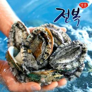완도 활전복 특대 12미/19미(마리당 81~90g) 전복세트 완도 전복 선물