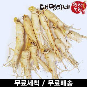 [대명이네 인삼농장](세척) 파삼 250g/인삼 수삼 주스용 홍삼용 삼계탕용