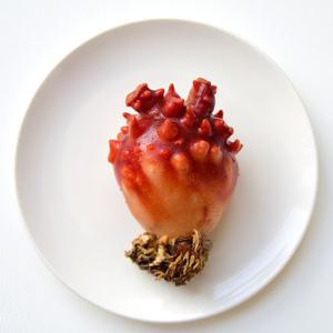 당일조업 제철 통영 활 멍게 깐멍게 손질 통 1kg