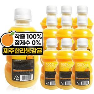 제주랑 한라봉 간식 음료 감귤주스 320ml 10개
