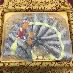 녹차로 냄새잡은 국내산 영광 법성포 참굴비 20미 1.8kg 20-21cm 참조기 조기 명절 선물세트