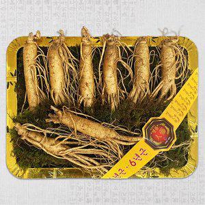 [풍기인삼] 6년근 선물세트(특대) 750g(7~8뿌리)