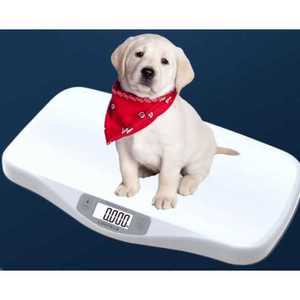 펫저울 대형견 체중계 동물병원 몸무게 강아지체중계