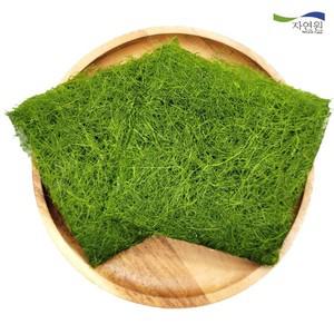 자연원 서산 감태 50g 1팩 10매)